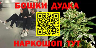 Альфа ПВП Сланцы