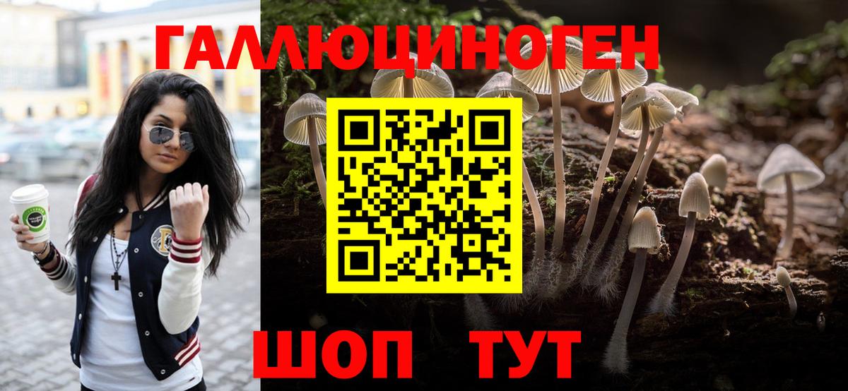 Псилоцибиновые грибы Psilocybine cubensis Наро-Фоминск